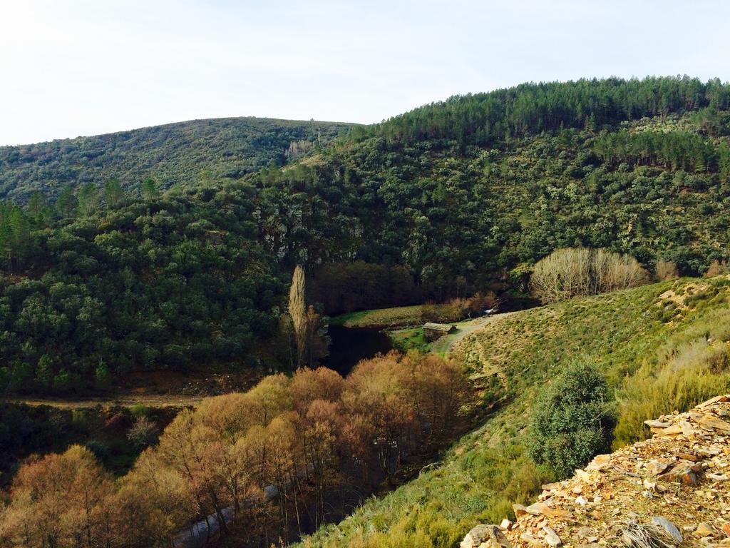 La Primavera Nuez Buitenkant foto