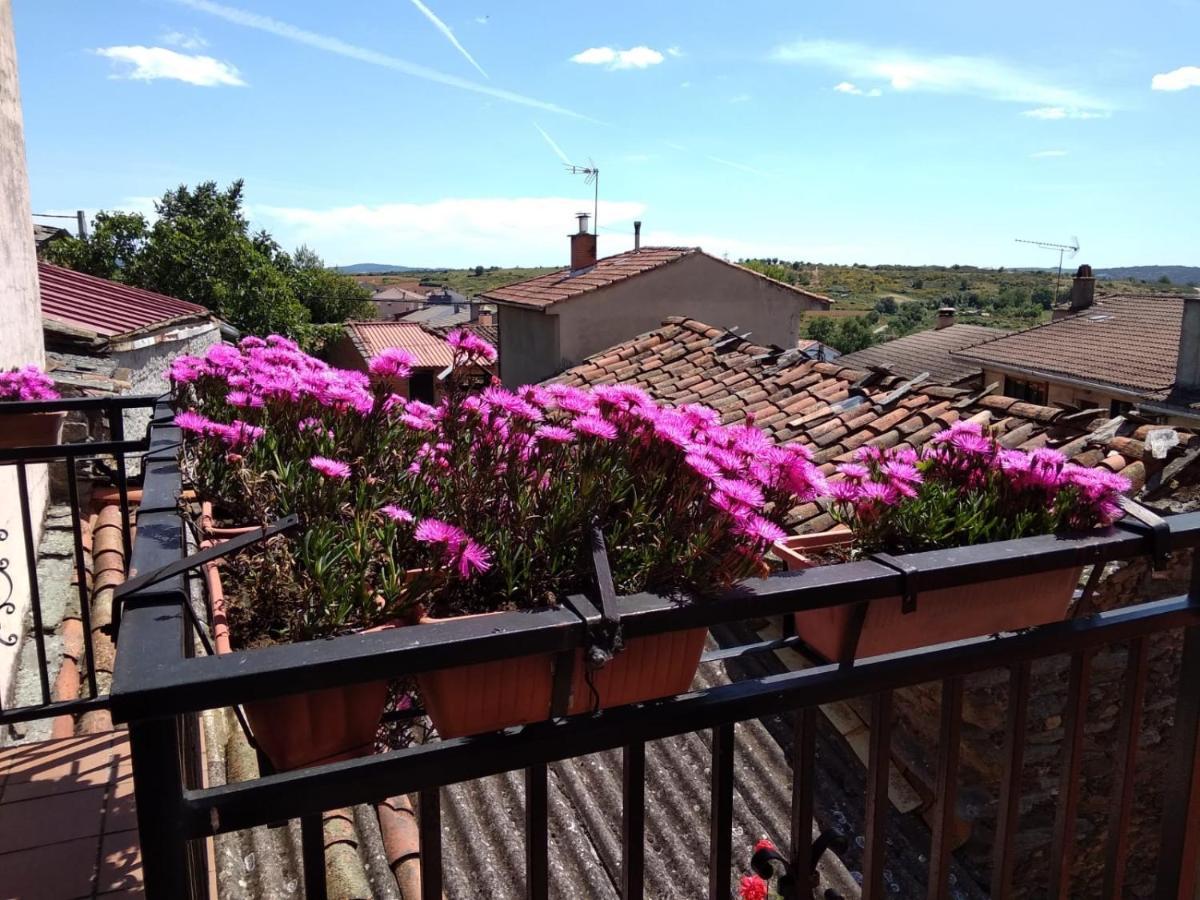 La Primavera Nuez Buitenkant foto